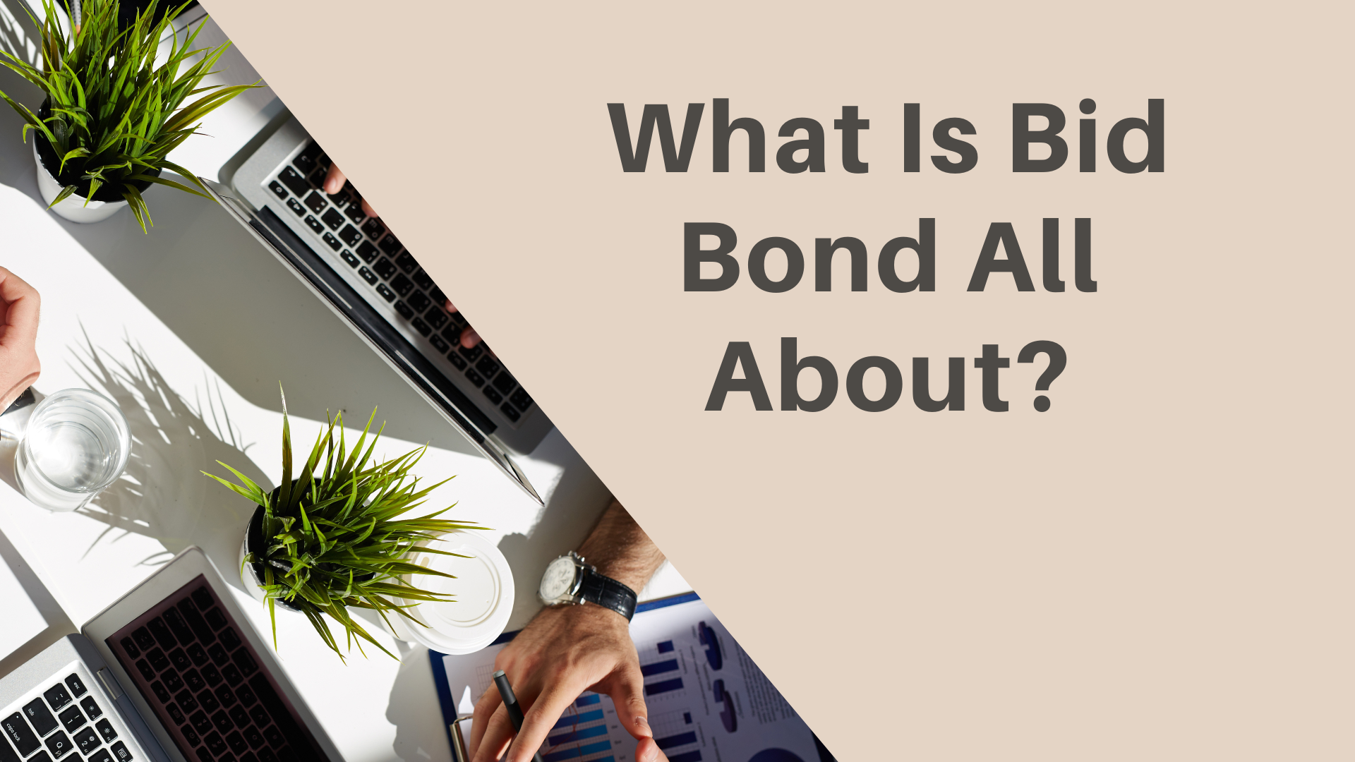 bid bond - What is a bid bond - working